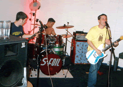 S-FOIL picture